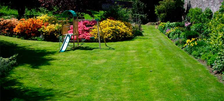 Somos especializados em Gramas Natural